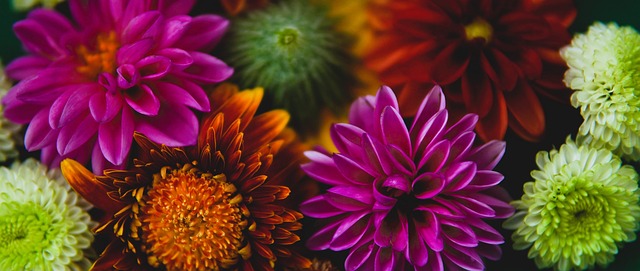 水花兄弟 水花兄弟