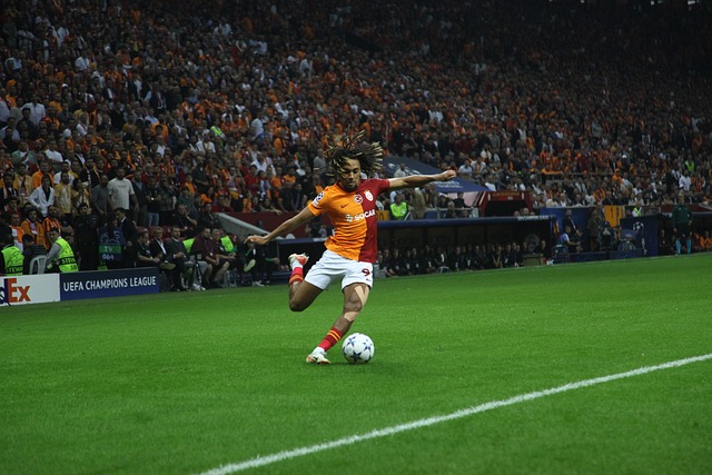 还展现出了 还展现出了