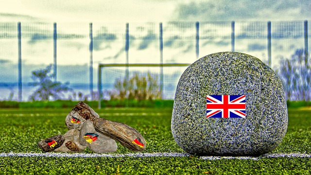 此次新增的 此次新增的