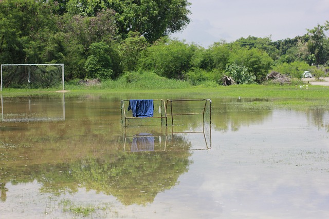 展現出了極 展現出了極