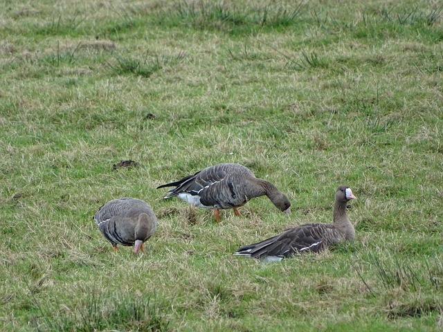 部工作人员 部工作人员