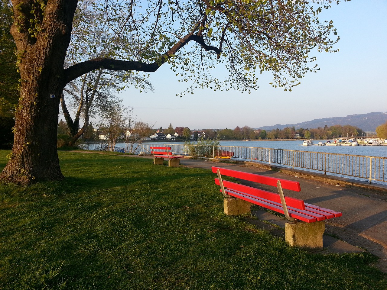 他的场上视 他的场上视