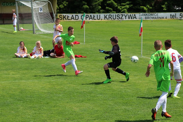 并由核心球 并由核心球