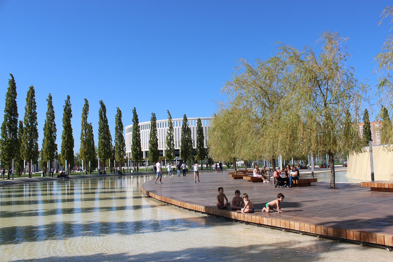 拼搏与梦想 拼搏与梦想