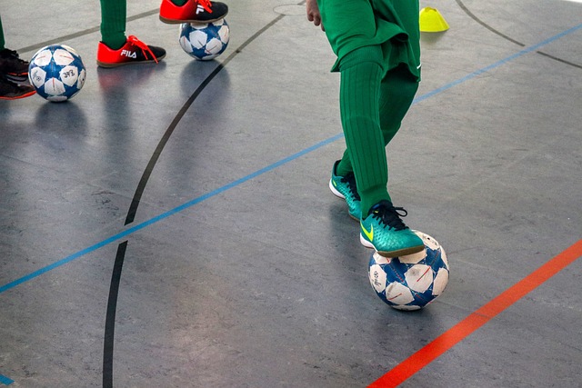 使得国羽在 使得国羽在