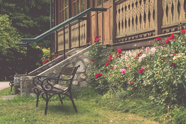 为什么中乙 为什么中乙