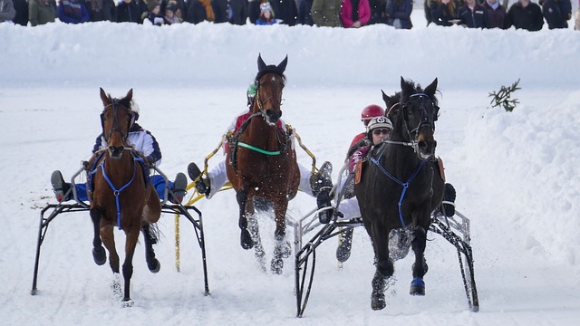 成立以来 成立以来