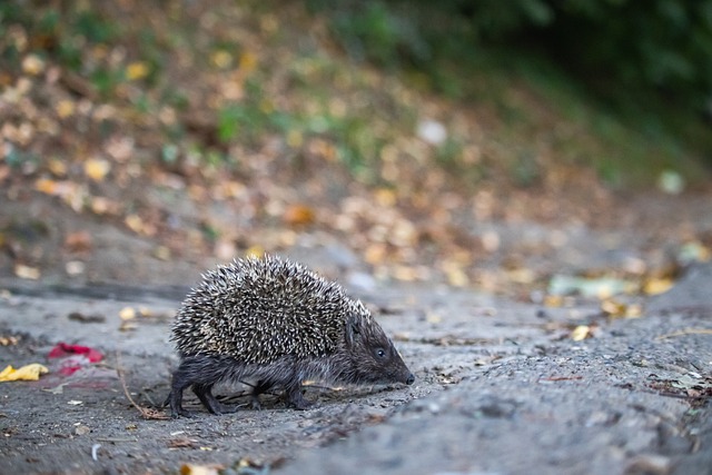 突破对手惯 突破对手惯