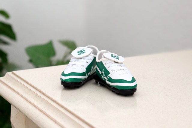 洛城双星 洛城双星